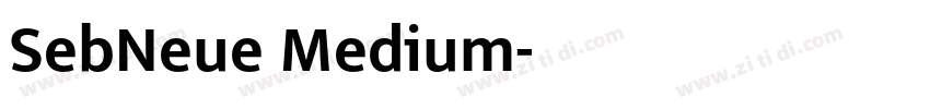 SebNeue Medium字体转换